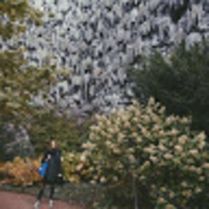 Meet your Posher, Courtney